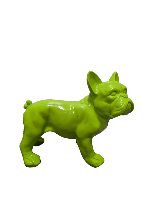 Art pop France buldog staand kleur 30 x 20 cm