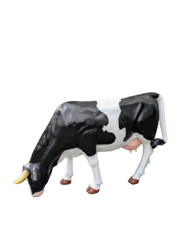 AZ316KN  Koe grazende  levensgroot laminaat xxl 150 x 220 cm