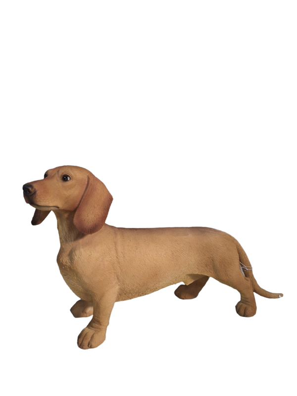 tekkel  hond 45 cm verp 6