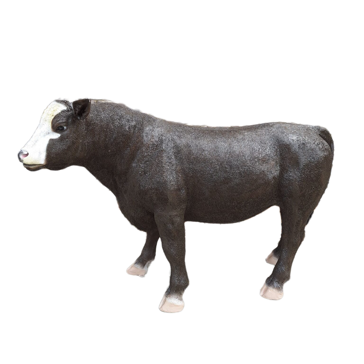 Koe Simmental laminaat 131 x  193 x 66cm