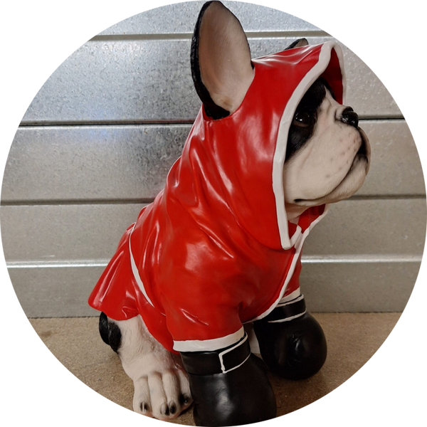 FB2130    france buldog zit boxer gouden trui 25 cm verp4