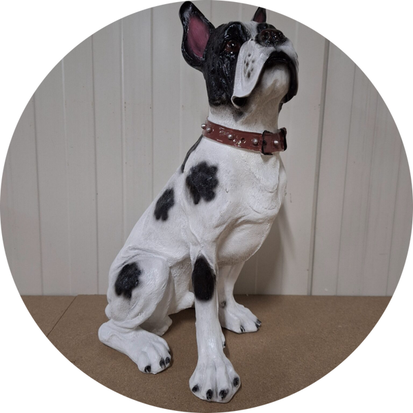 Franse buldog zit wit met zwart 50 cm