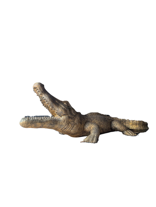 Krokodil xxl 500 cm