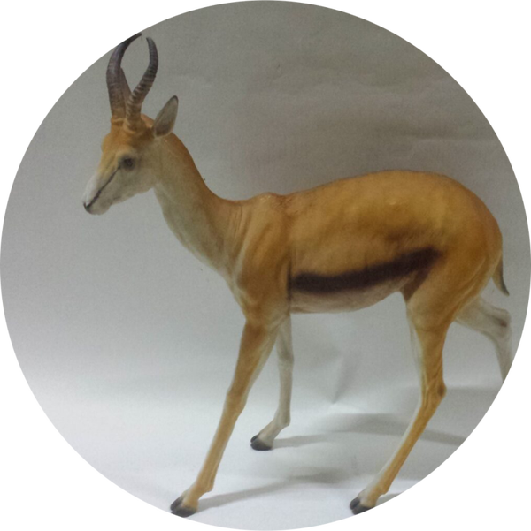 Antilope  40 cm
