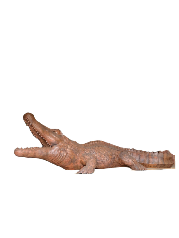 Krokodil xxl 500 cm
