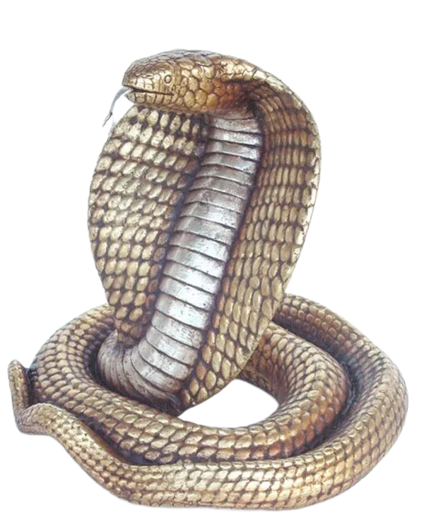 Cobra slang polyester résine 50 x 50 cm