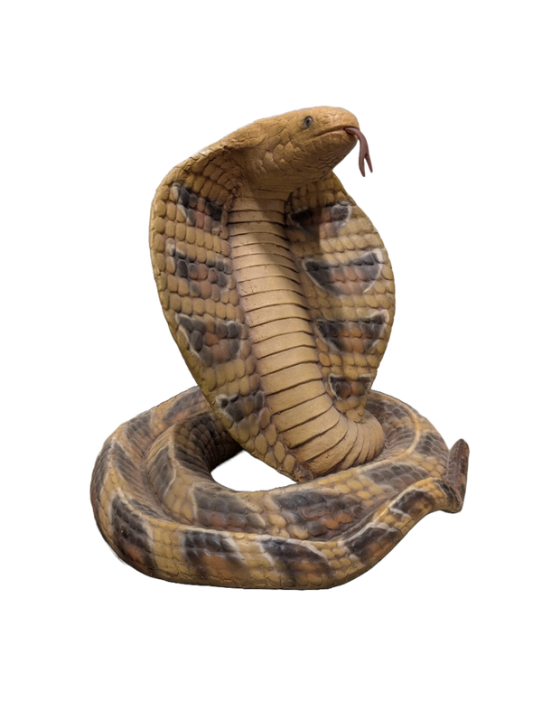 Cobra slang polyester résine 50 x 50 cm