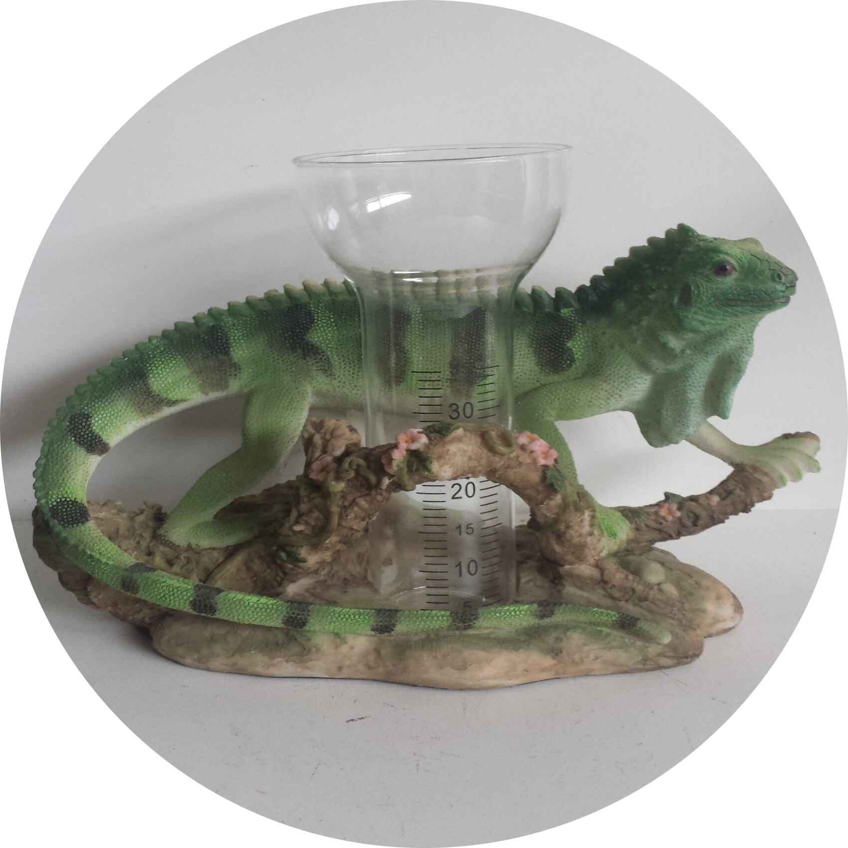 Salemander regen meter 20 cm