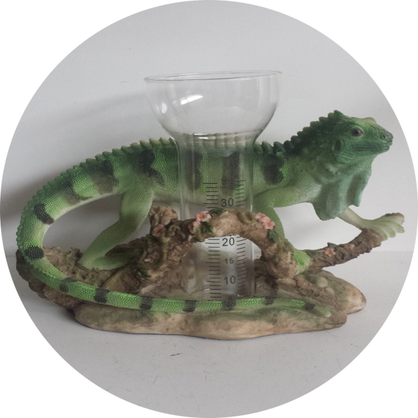 Salemander regen meter 20 cm