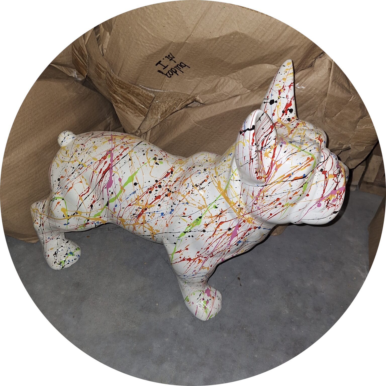 France buldog hond  wit splasch   45 x 60 cm