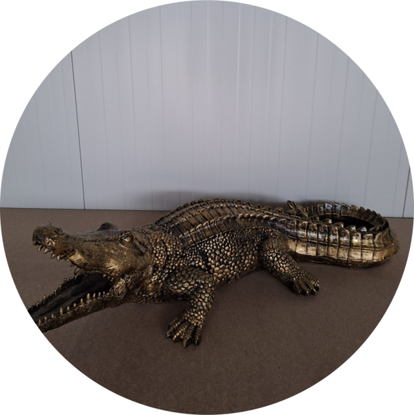Krokodil diverse kleur 103 x 41 x 30 cm