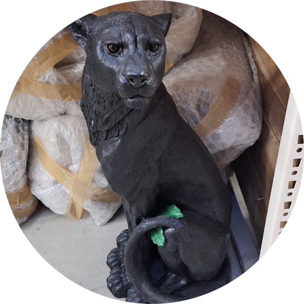 Zwarte Panther zit 80 cm
