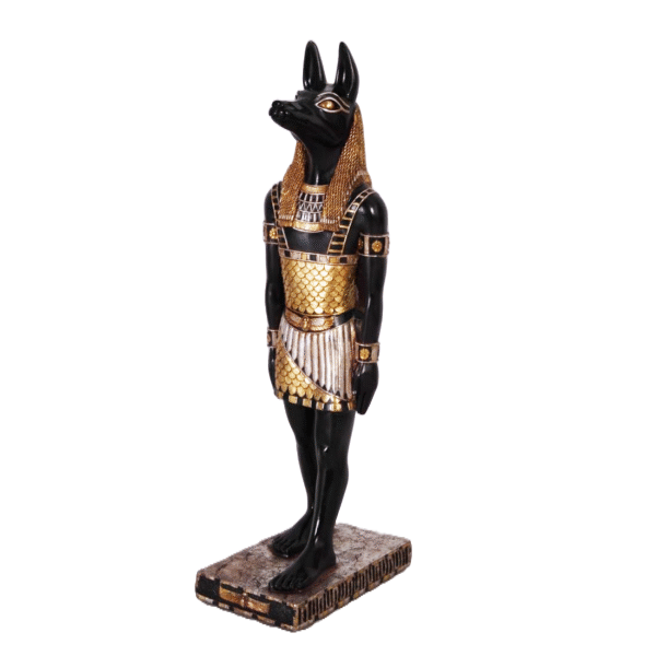 Egypte man hond 95 cm