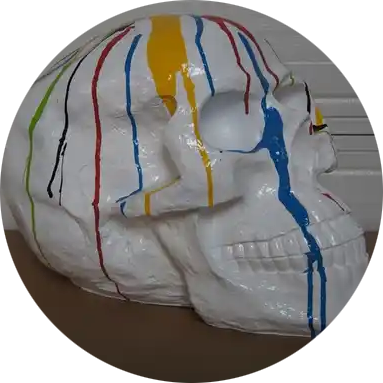 STP80 Funny schedel multicolor wit polyester résine 80 cm