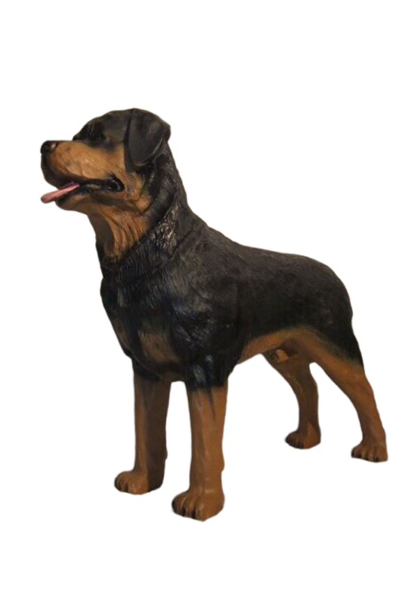 Rottweiler hond staand polyester résine 90 cm