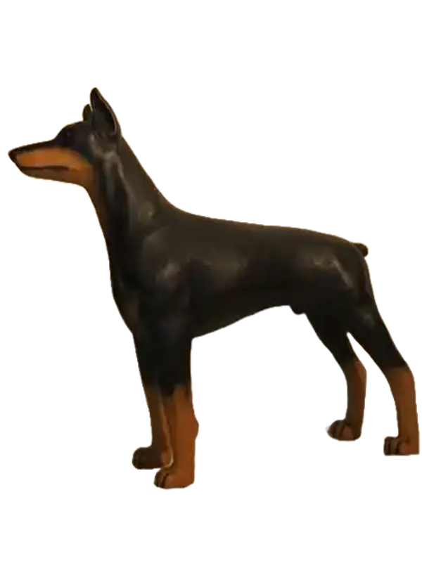 Hond dobberman naturel kleur 100 x 110 cm