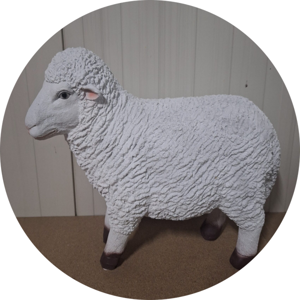 SCHAAP STAAND 65 CM