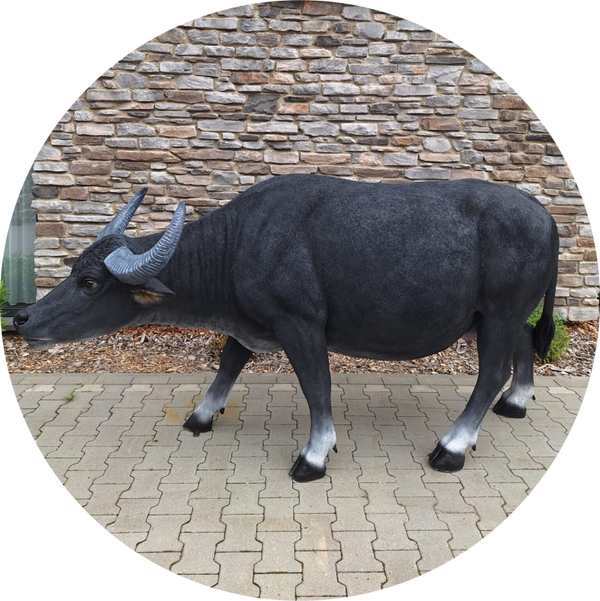 Buffel grazend staand 260 x 92 x 130 cm