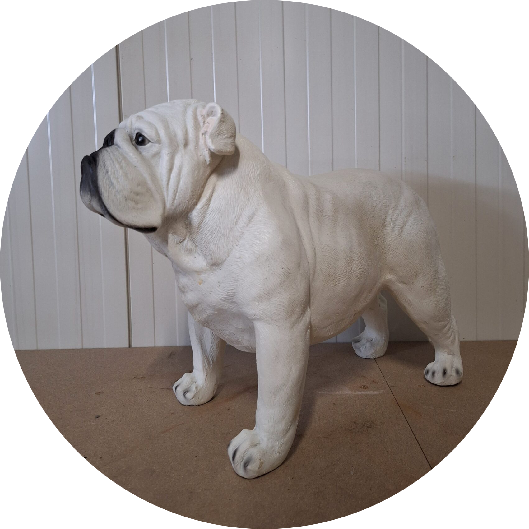 Engelse Buldog laminaat Staand 44 x 65cm