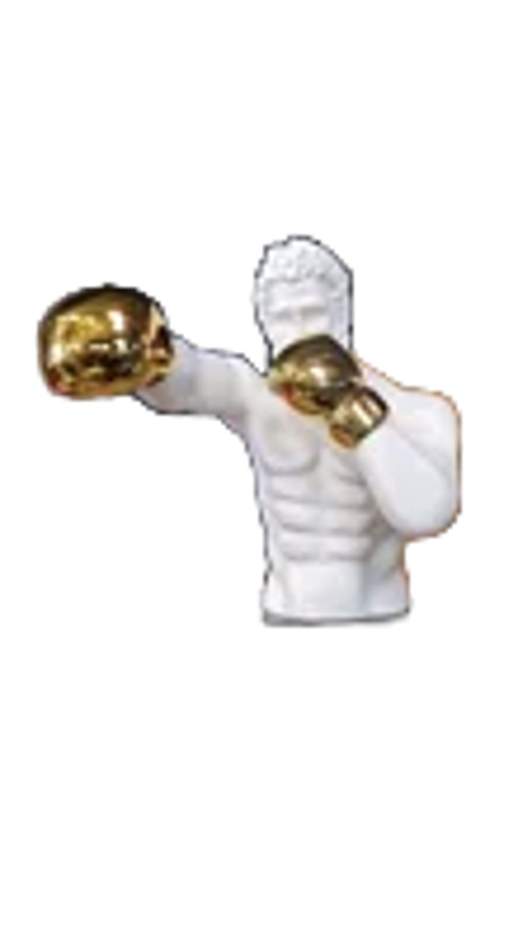 Boxer Burste wit of zwart goud 60 cm