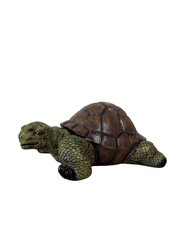 Land schildpad naturel polyester 85 cm