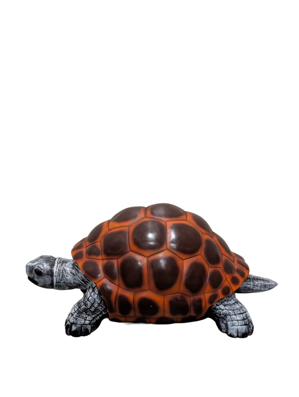 Landschildpad polyester résine kleur naturel 110 cm