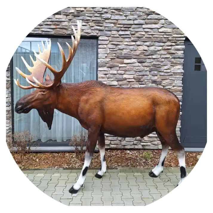 Eland XXL laminaat 226 x 240 x 142cm
