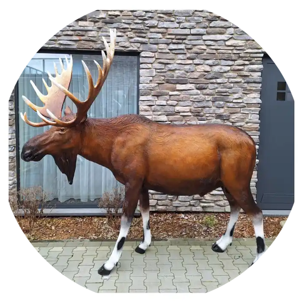 Eland XXL laminaat 226 x 240 x 142cm