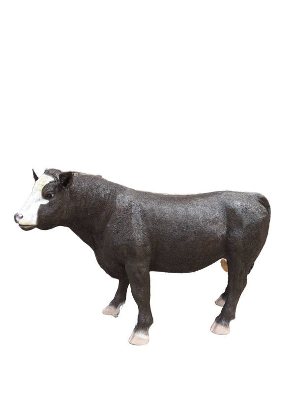 Stier Simmental 131 x 193 x 66 cm
