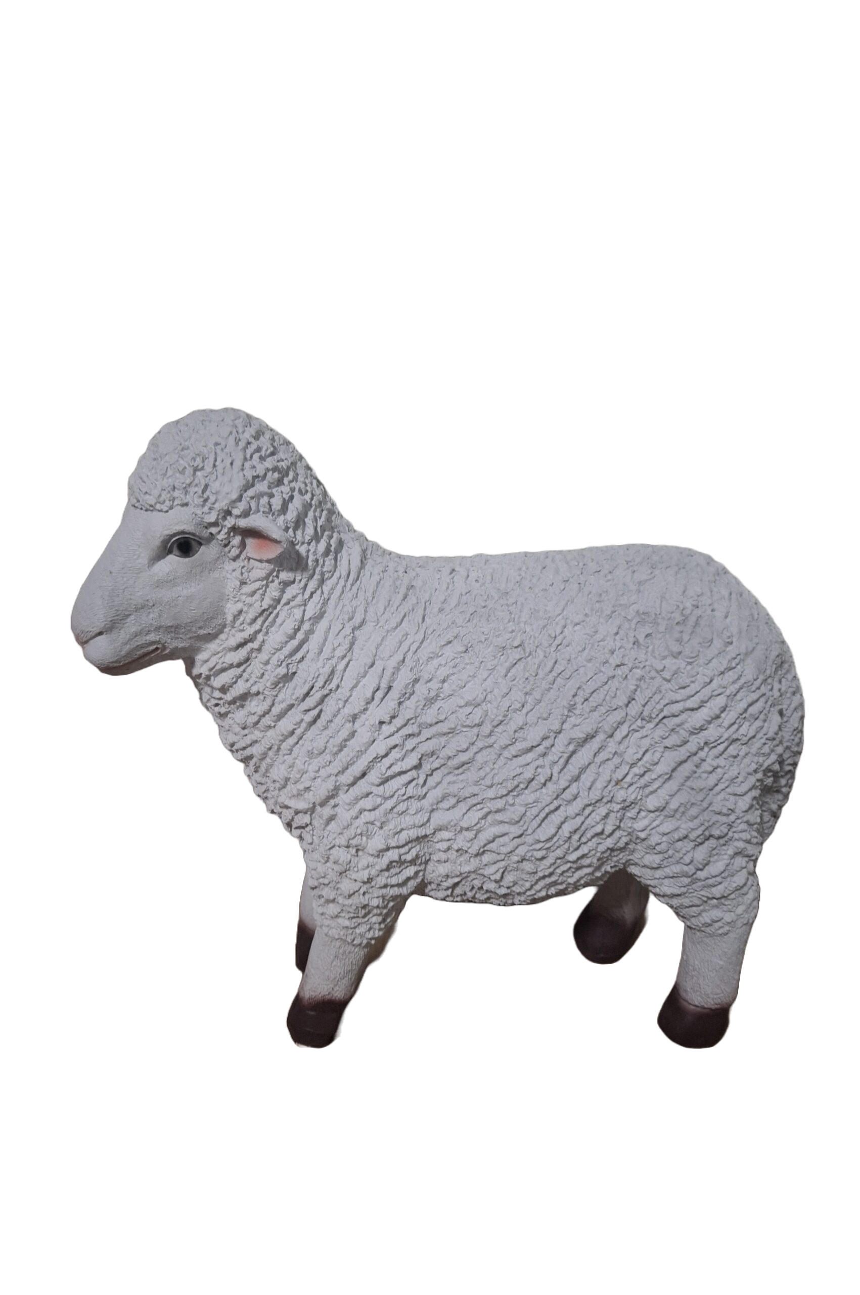 SCHAAP STAAND 65 CM