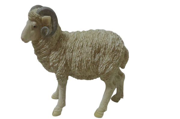 Schaaps ram staand 45 cm