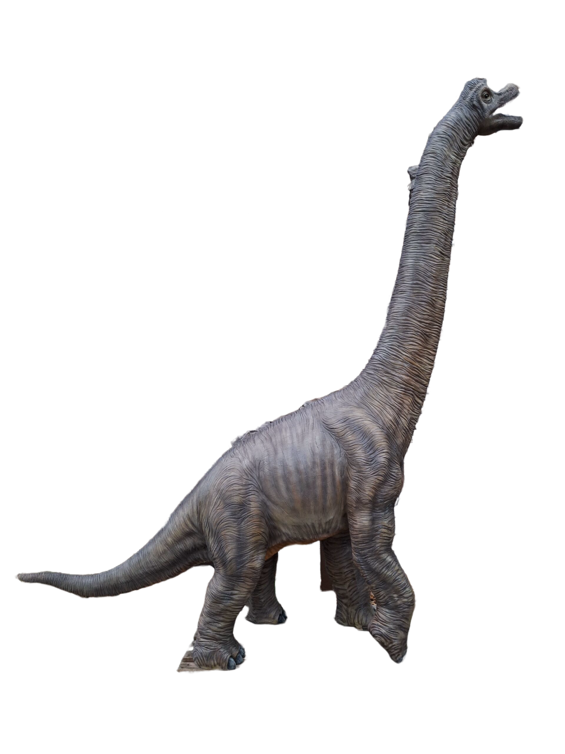 Dinosaurus laminaat 325 x 300 x 75 cm