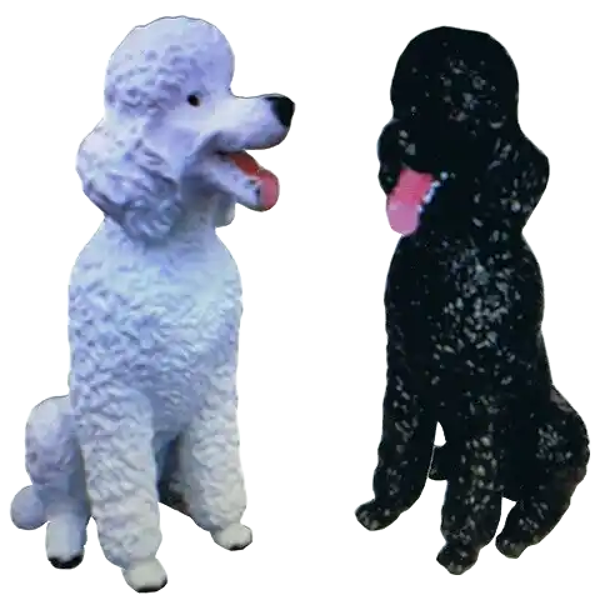 Hond poedel zit polyester résine 60 CM