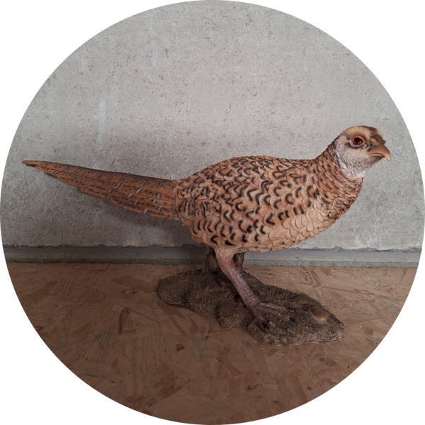 FAZANT HEN 63 X 26 CM