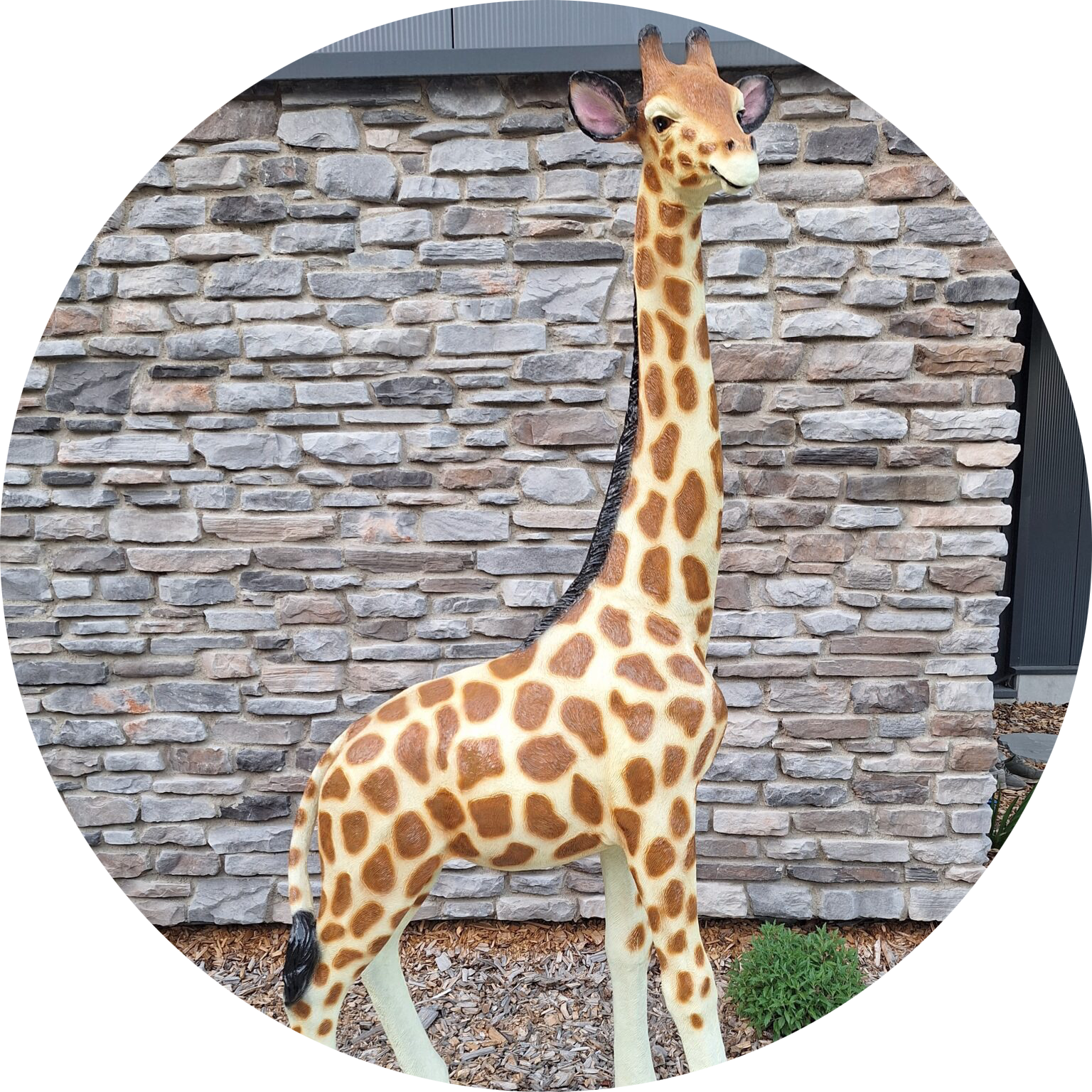 Giraffe naturel kleur laminaat 106 x 45 x 218 cm