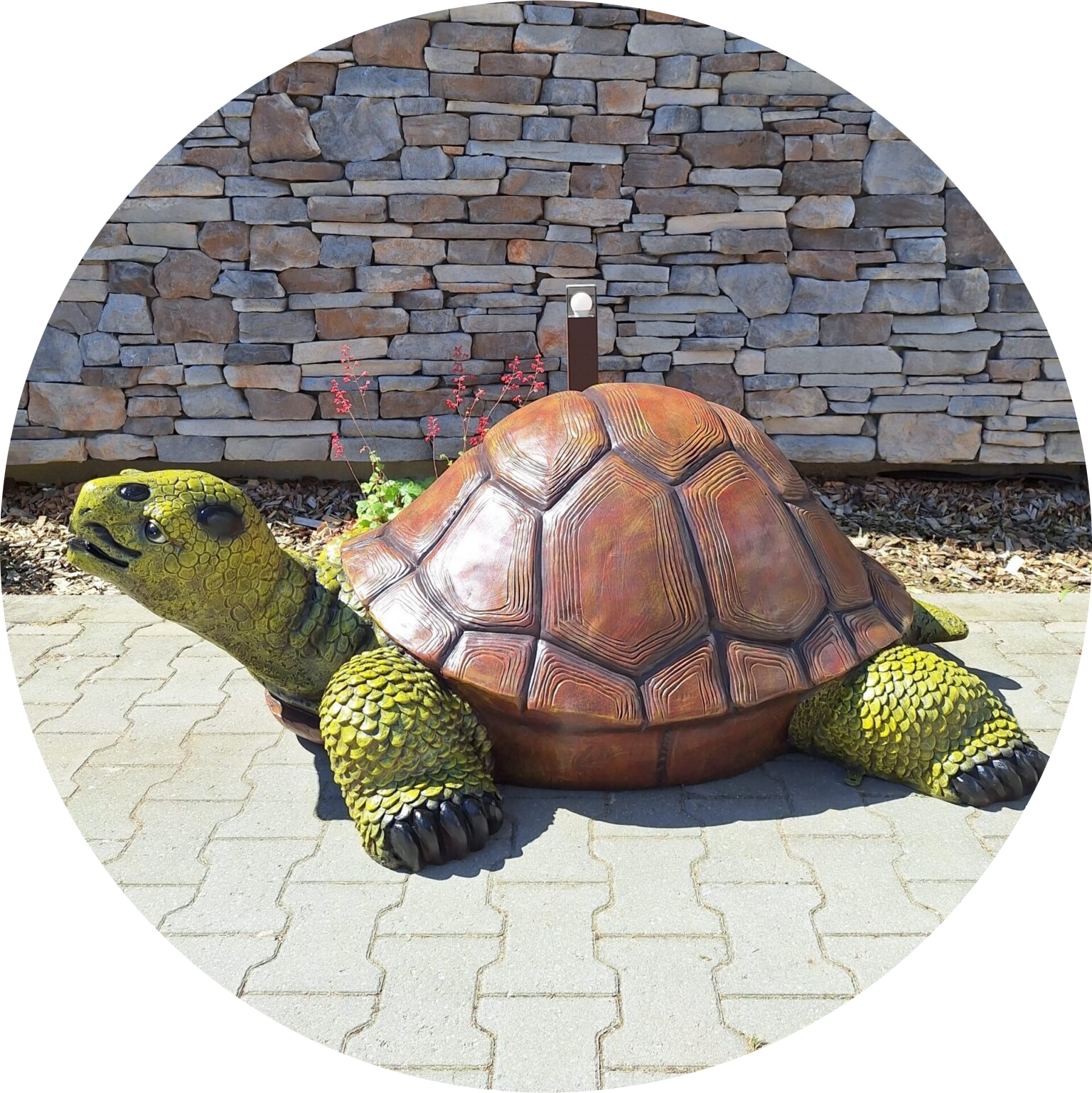 Lands schildpad antiek laminaat 150 cm