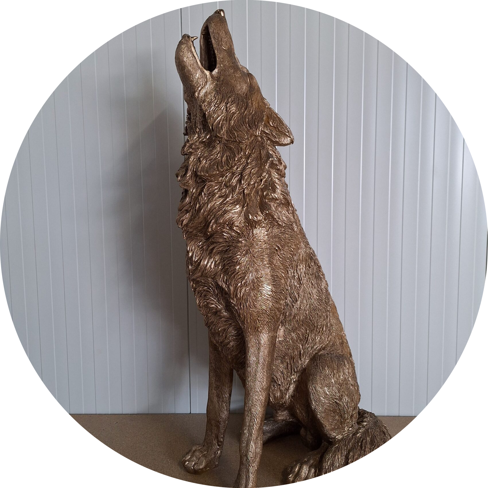 Huilende wolf zit Laminaat 121 x   66  80cm