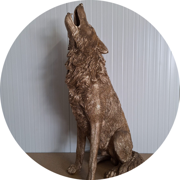 Huilende wolf zit Laminaat 121 x   66  80cm
