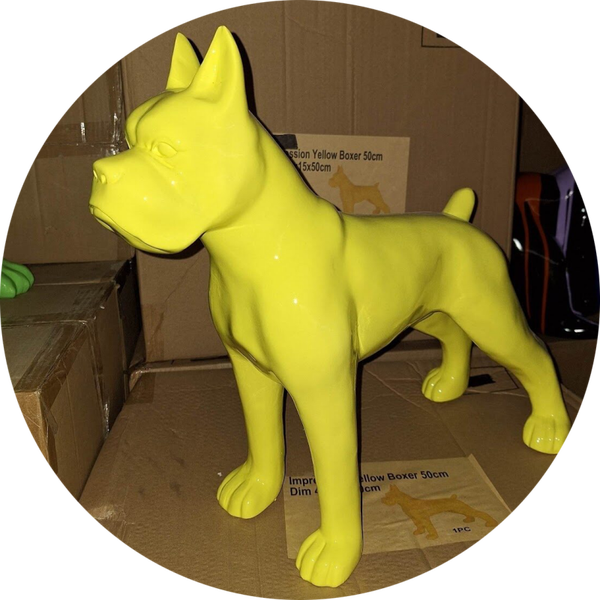 Hond Boxser geel polyester résine  50 CM