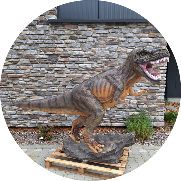 Dinosaurus laminaat open muil  170 x  270 x 80 cm