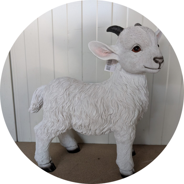 Baby geit staand 43 x 18 x 45 cm