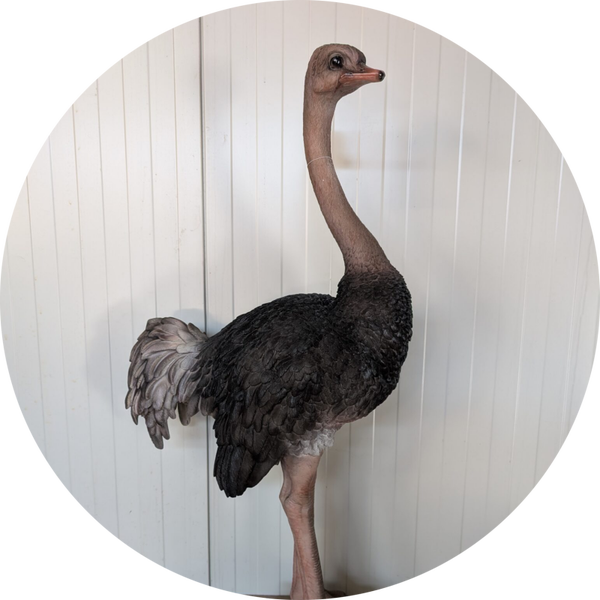 Strusvogel 58 x  30 x 110 cm