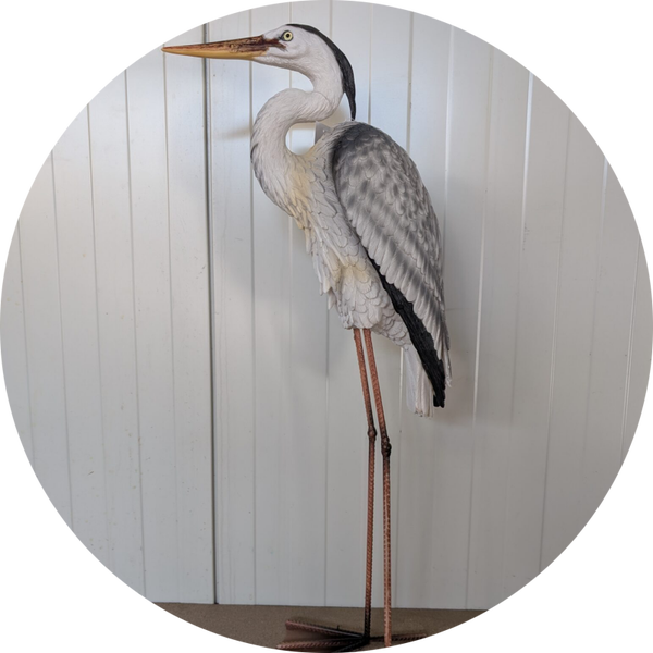 Reiger 80 cm