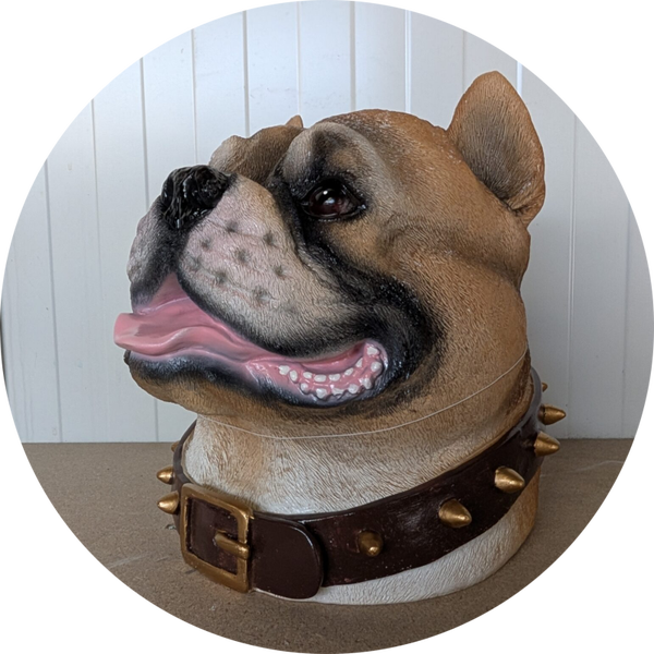 Hondekop pitbull 30 cm
