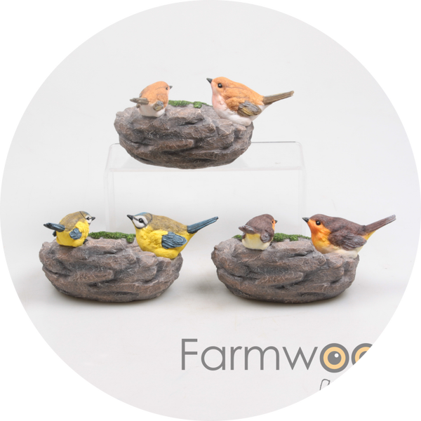 VOGELVOEDER OP STEEN 2 vogel 3 ASS verp 48