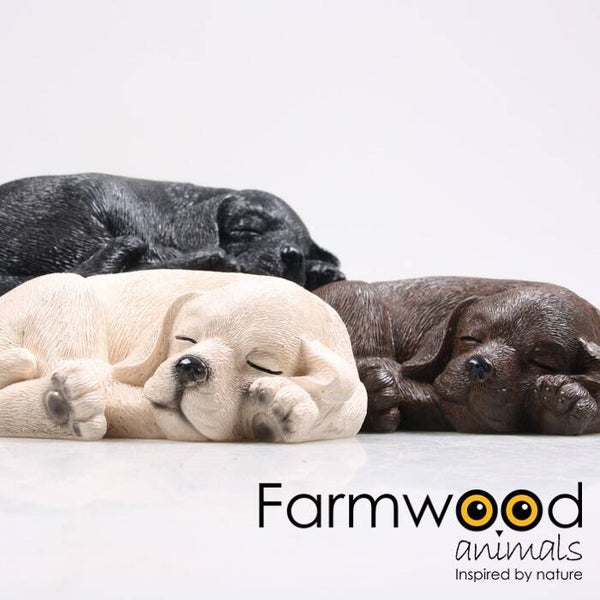 PUPPIE LABRADOR SLAPEND 3 ASS L20 CM Verp 12