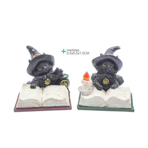 Baykus Boek met heks kat 2 ass 29x5,5x9,5cm verp 12