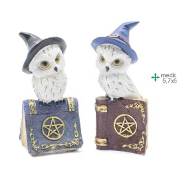 Baykus Set Uil op boek 2 ass 5,7x5,5x12,5cm  verp 12