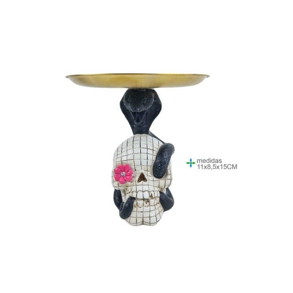 Schedel met schaal Resina 11x8,5x15cm verp12