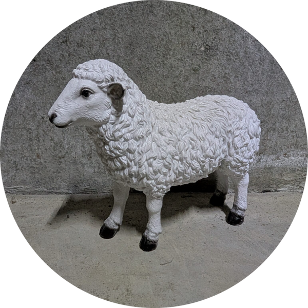 Schaap staand kleur fibre de verre laminaat 70 cm